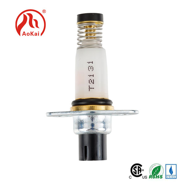 ¿Qué forma será la tendencia de desarrollo futura de las válvulas solenoides?